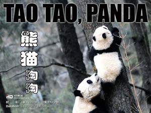 熊猫淘淘